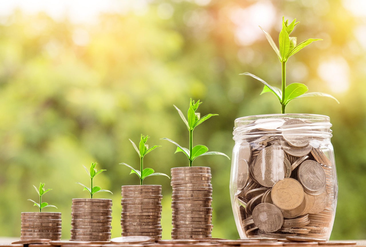 Jar of coins with a plant growing out of it, surrounded by smaller stacks of coins with plants, against a blurred green background.
